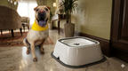 Bebedero antiderrame para perros y gatos, tazón de agua sin derrames para mascotas